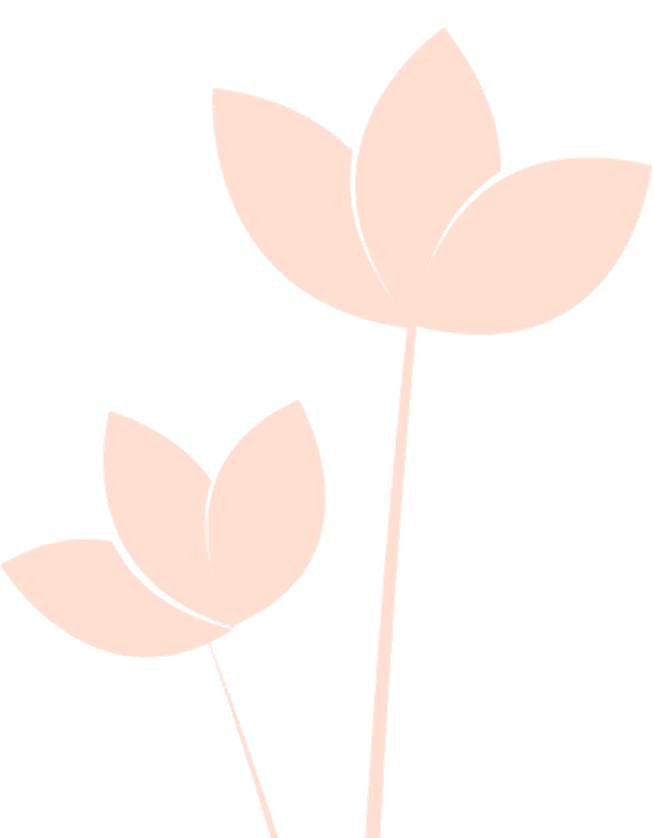 Wisdom Preview Background